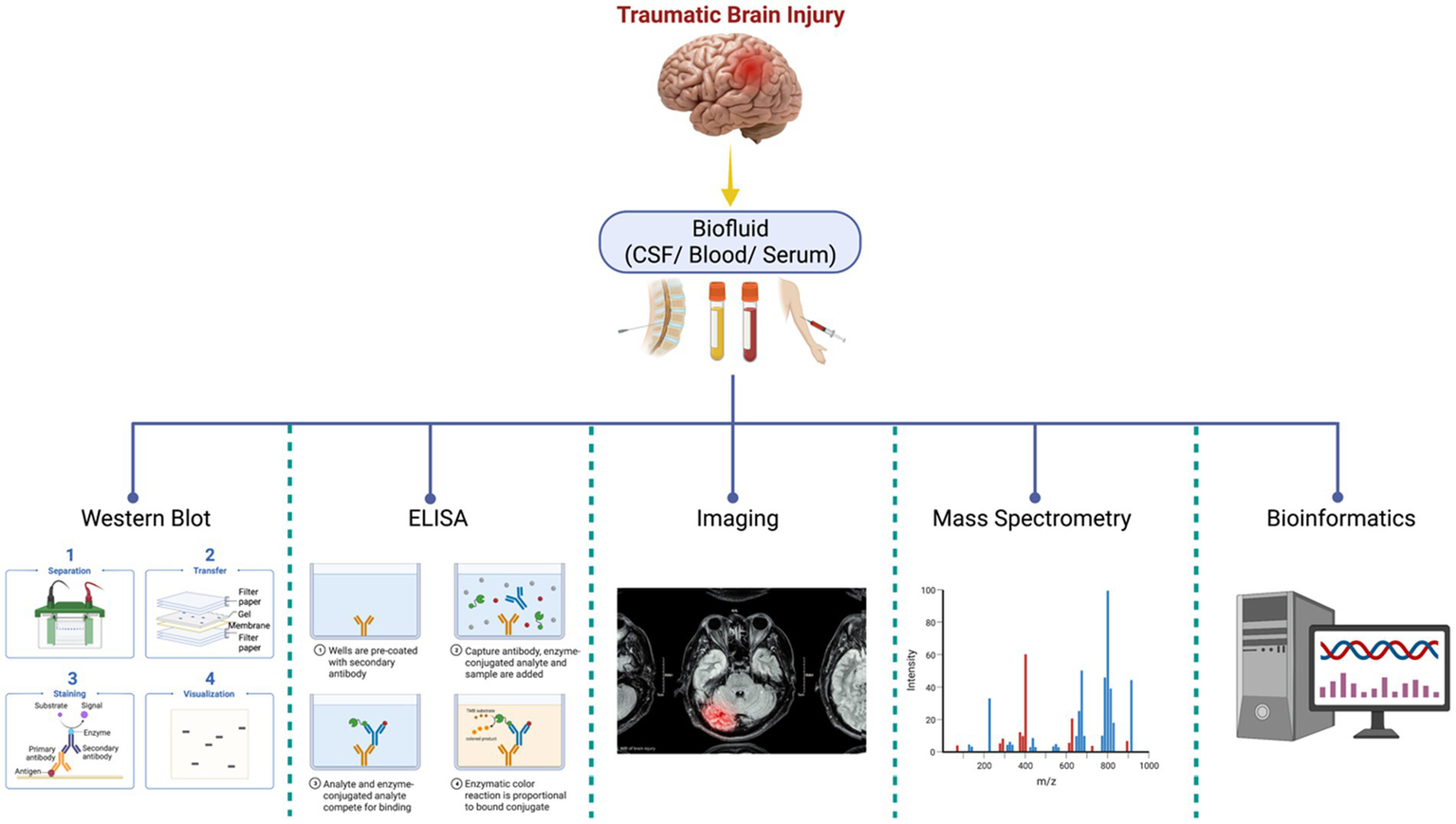 Frontiers | Advances in neuroproteomics for neurotrauma