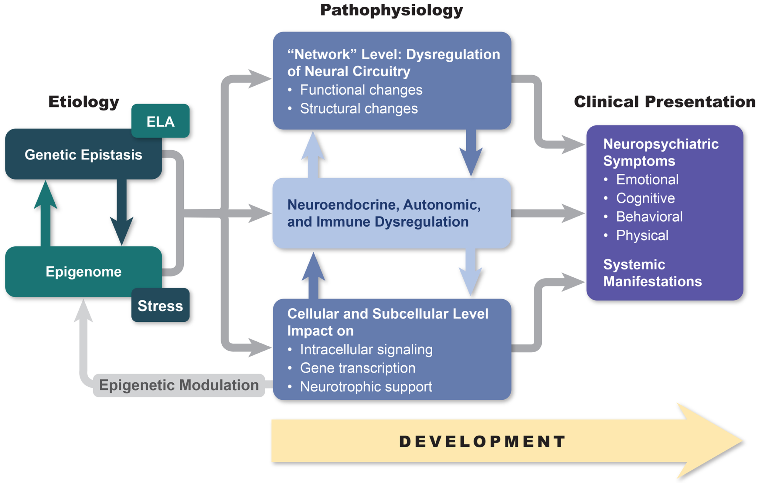 Frontiers | Integrated Neurobiology of Bipolar Disorder