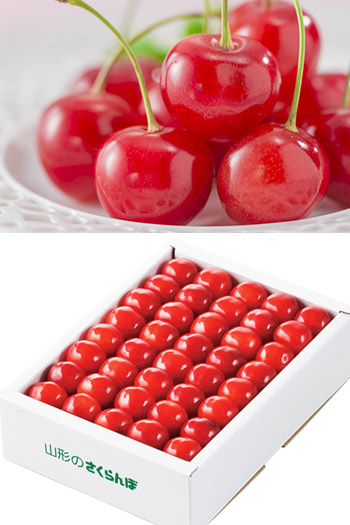 ジェイエイてんどうフーズ（くだもの） 山形県産佐藤錦 くだもの | G