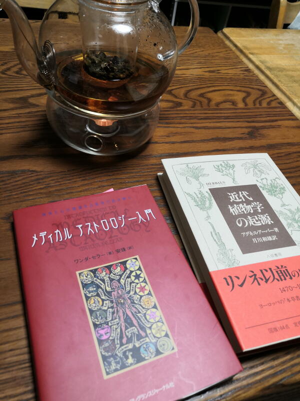 メディカルアストロロジーって何だ！？ | 酵母パンまひろ