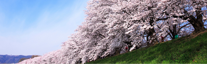日本更生保護学会