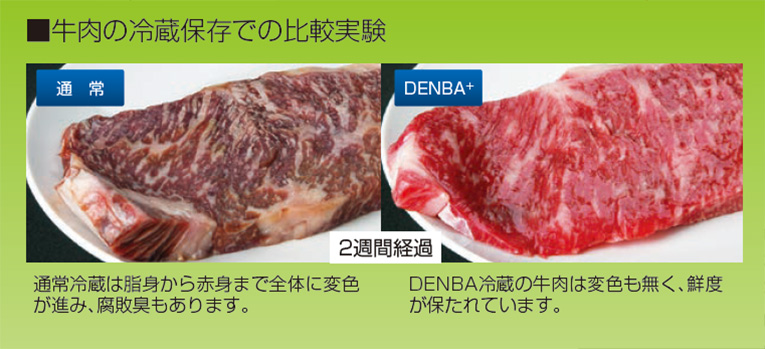DENBA+Fresh 冷蔵庫用 業務量冷蔵庫にはDENBA Fresh Pro | DENBA公式一次販売店