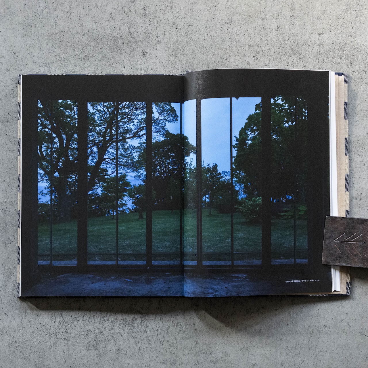 工芸青花 20号 | 本 | 工芸青花 kogei-seika