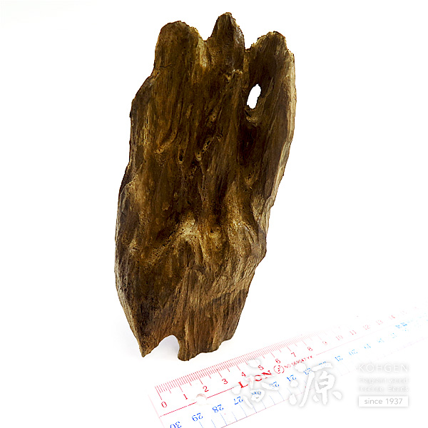 インドネシア産沈香 並タニ沈香 姿物 No.52 60g 弁香の通販 - お香