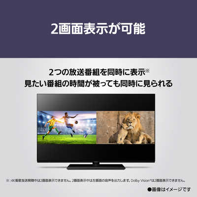 パナソニック Panasonic 4K有機ELテレビ VIERA ( ビエラ ) Z85A