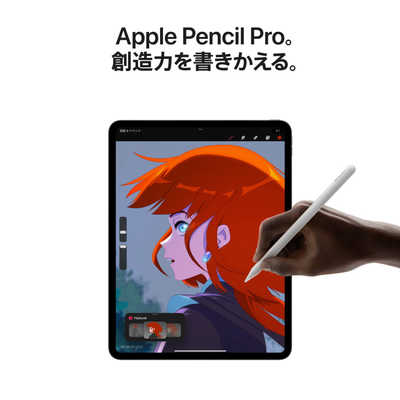 アップル 11インチ iPad Pro（M4）Apple M4 9コアCPU 10コアGPU 11型