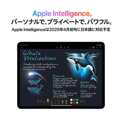 アップル iPad Air 11(M3) Apple M3 11型 ストレージ：256GB スペース