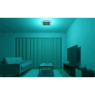 ホタルクス LED照明 シーリングライト 8畳 昼白色 導光板 HotaluX VIEW