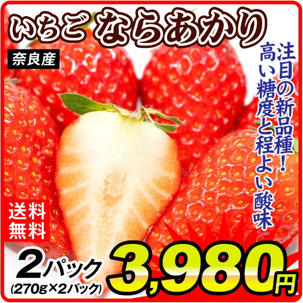 国華園オンラインショップ / いちご ならあかり 540g（270g×2パック