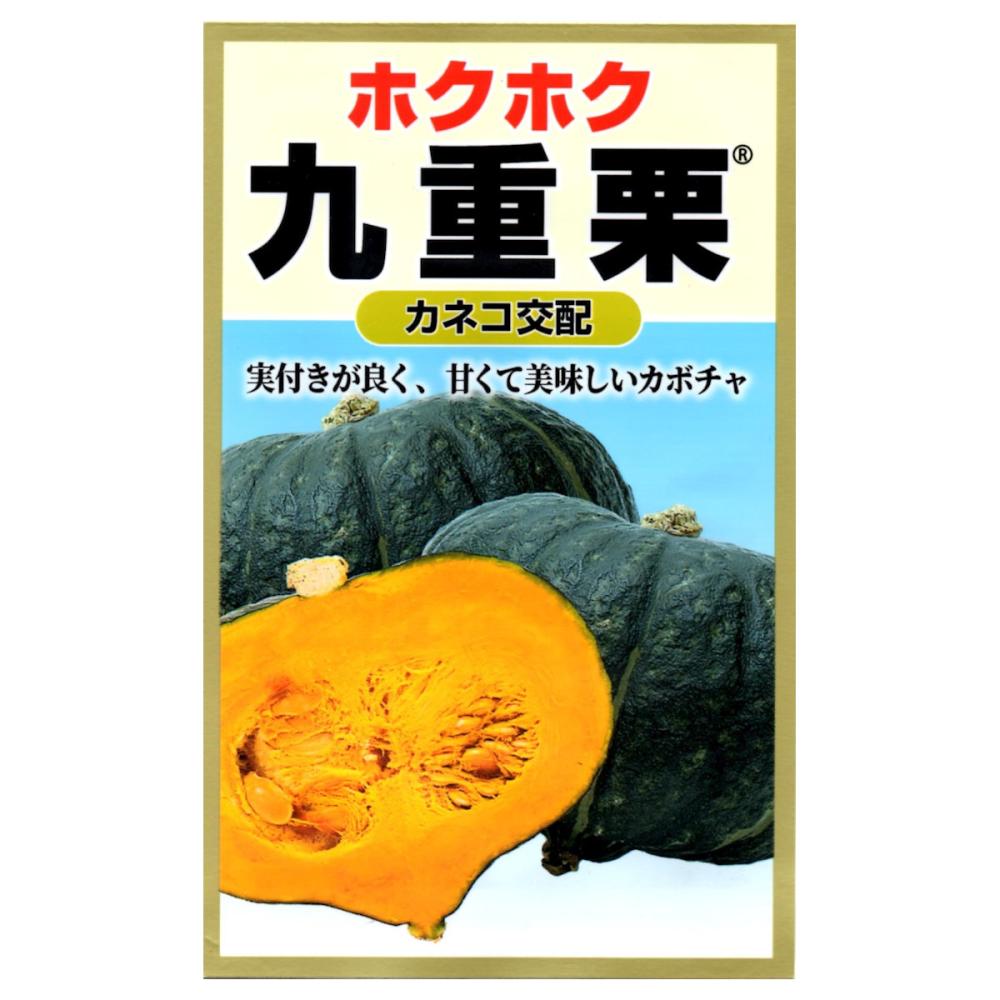 カボチャ種子 九重栗かぼちゃ の通販 | ホームセンター コメリドットコム
