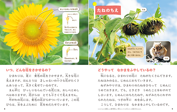 ひまわり・はす - 子どもの本の小峰書店