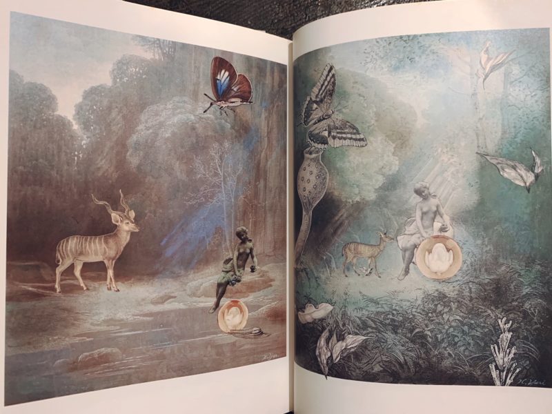 野中ユリ画集 妖精たちの森 ｜ 文・澁澤龍彦 ｜ 講談社 ｜ 美術・画集