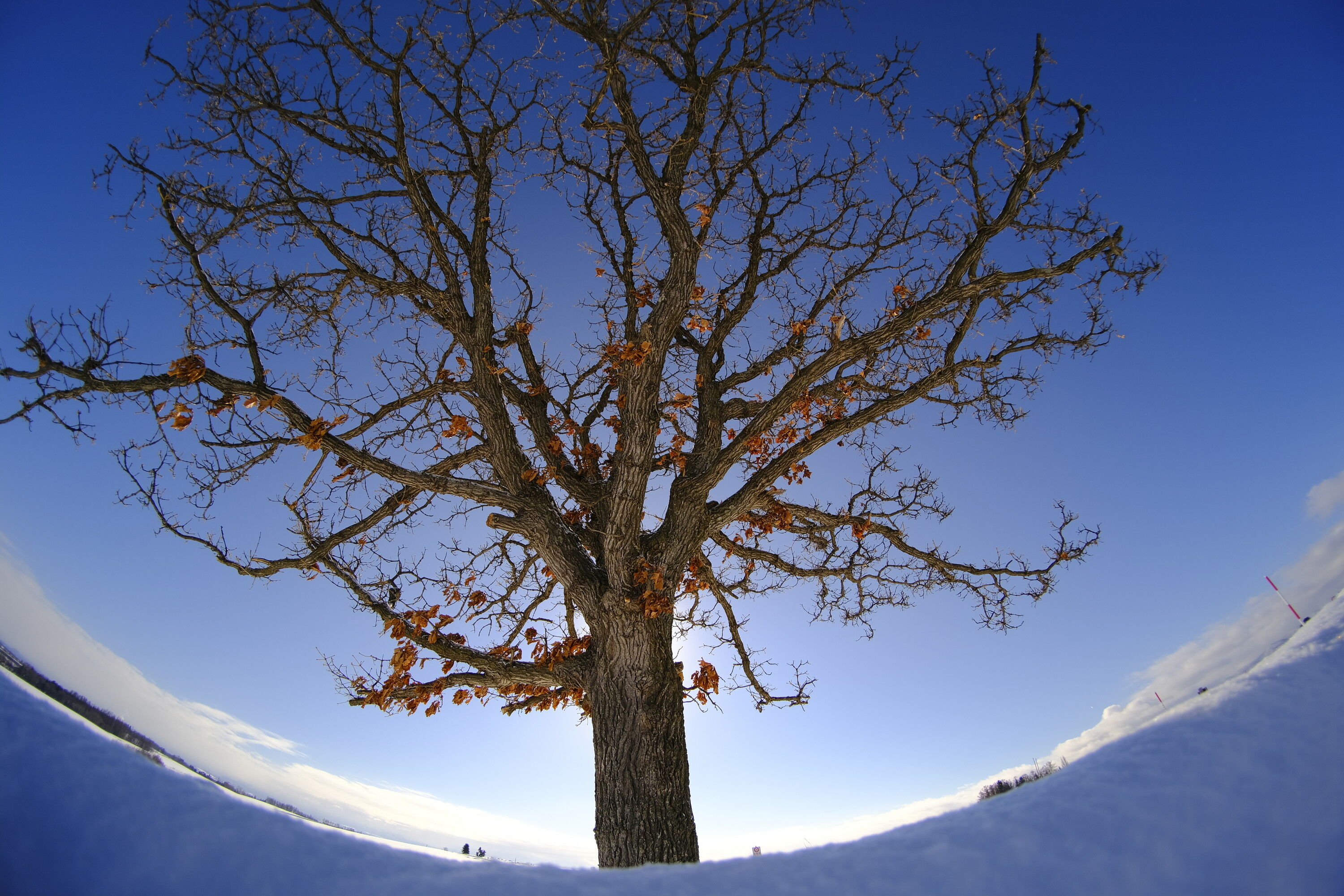 APS-Cミラーレス機にフィットするサイズの対角魚眼レンズ「Tokina SZ