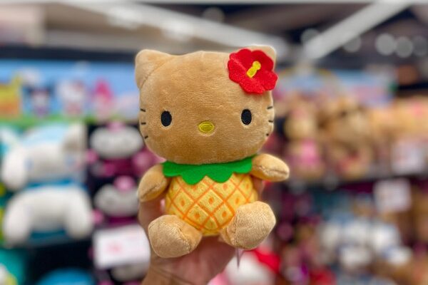 ハワイで買えるぬいぐるみやキャラクターグッズやお人形のお土産まとめ