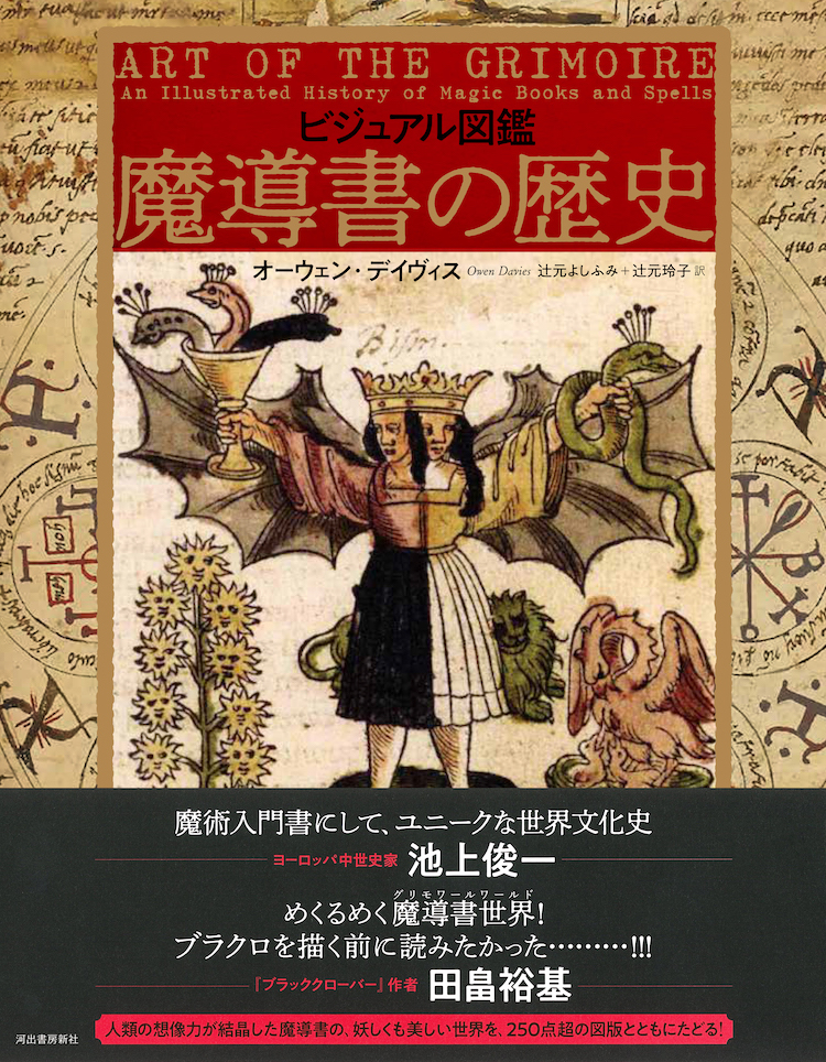 ビジュアル図鑑 魔導書の歴史 :オーウェン・デイヴィス,辻元 よしふみ