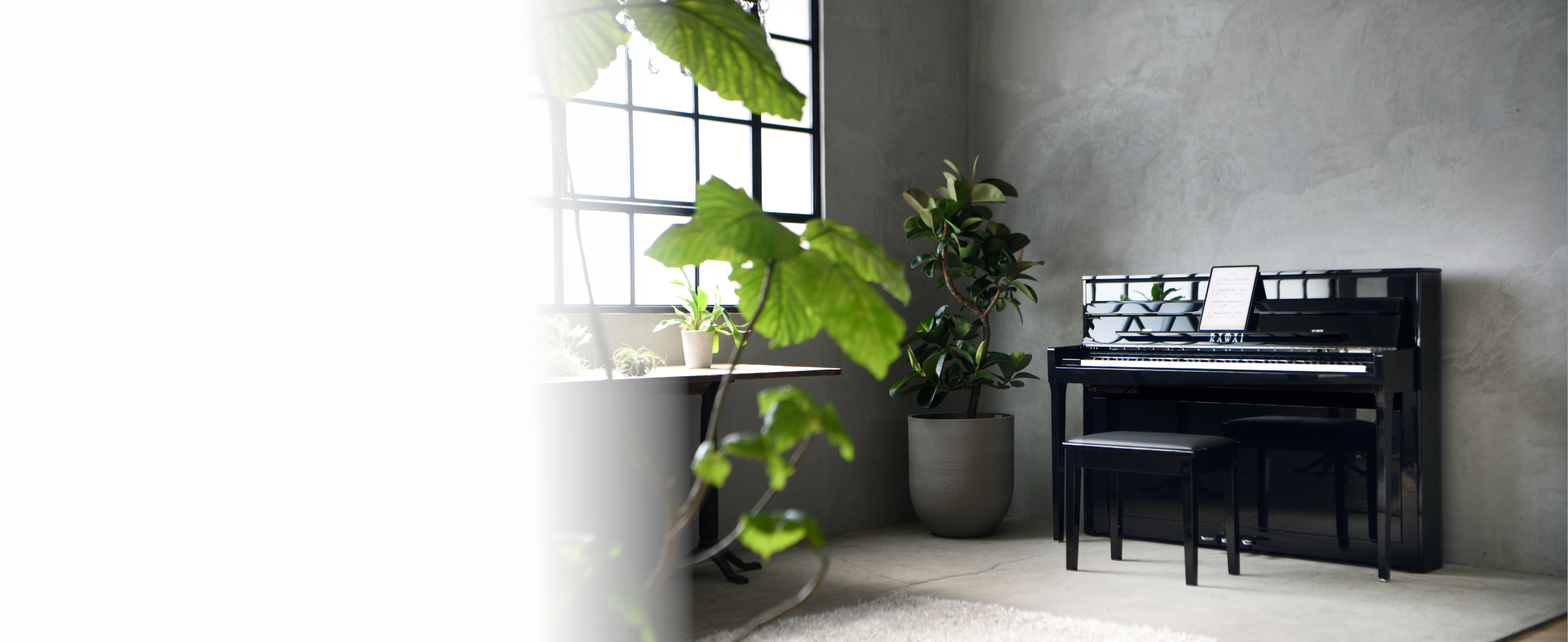 NV5S（生産終了）｜製品情報｜河合楽器製作所 製品サービスサイト