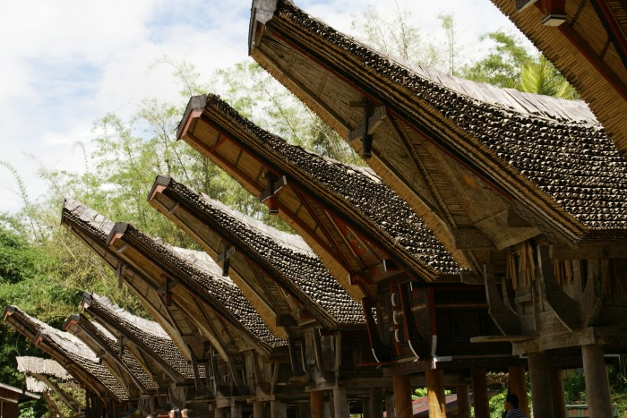 山奥に暮らす海の民？トラジャ族 | ツアー関連情報 他のエリアを見る