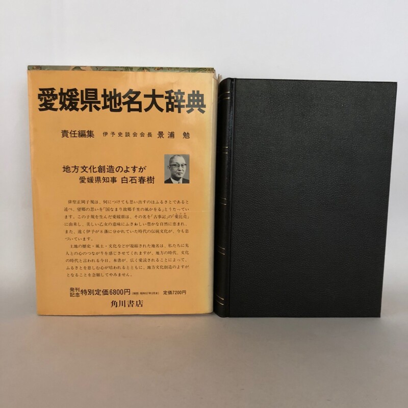 角川日本地名大辞典 38 愛媛県 「角川日本地名大辞典」編纂委員会 竹内