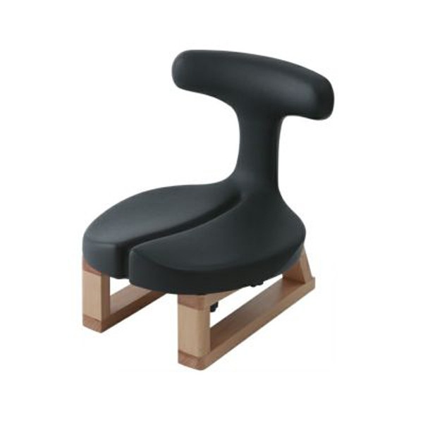 30273【送料無料】 | アーユル・チェアー あぐらイス通販 - Kagg.jp