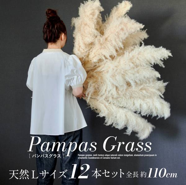 Pampas Grass(パンパスグラス) 110cm 12本セットの通販情報 - 家具通販