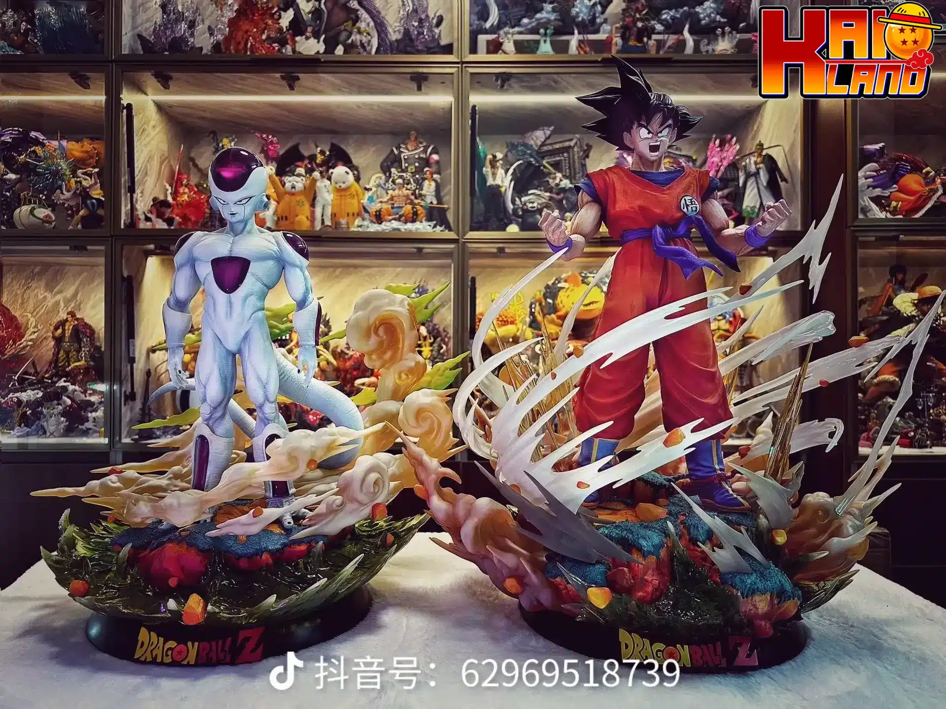 ホワイト ホール スタジオ - カイオランド