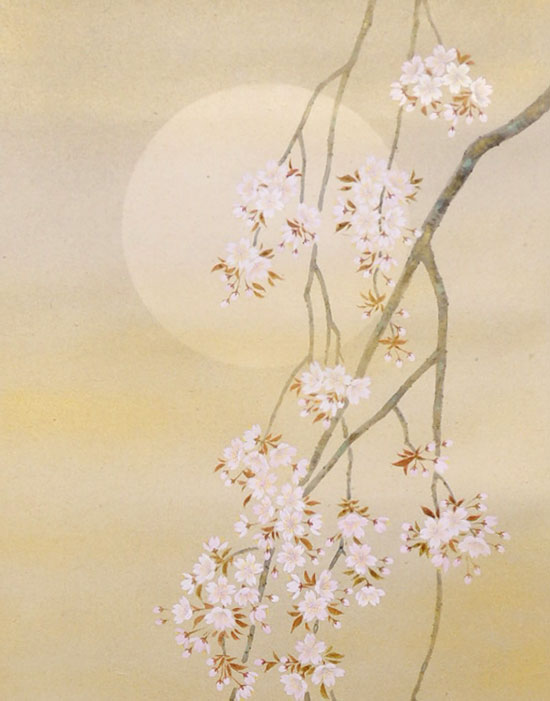 掛け軸 枝垂れ桜 （三宅和光） 送料無料 【掛軸】【一間床・半間床