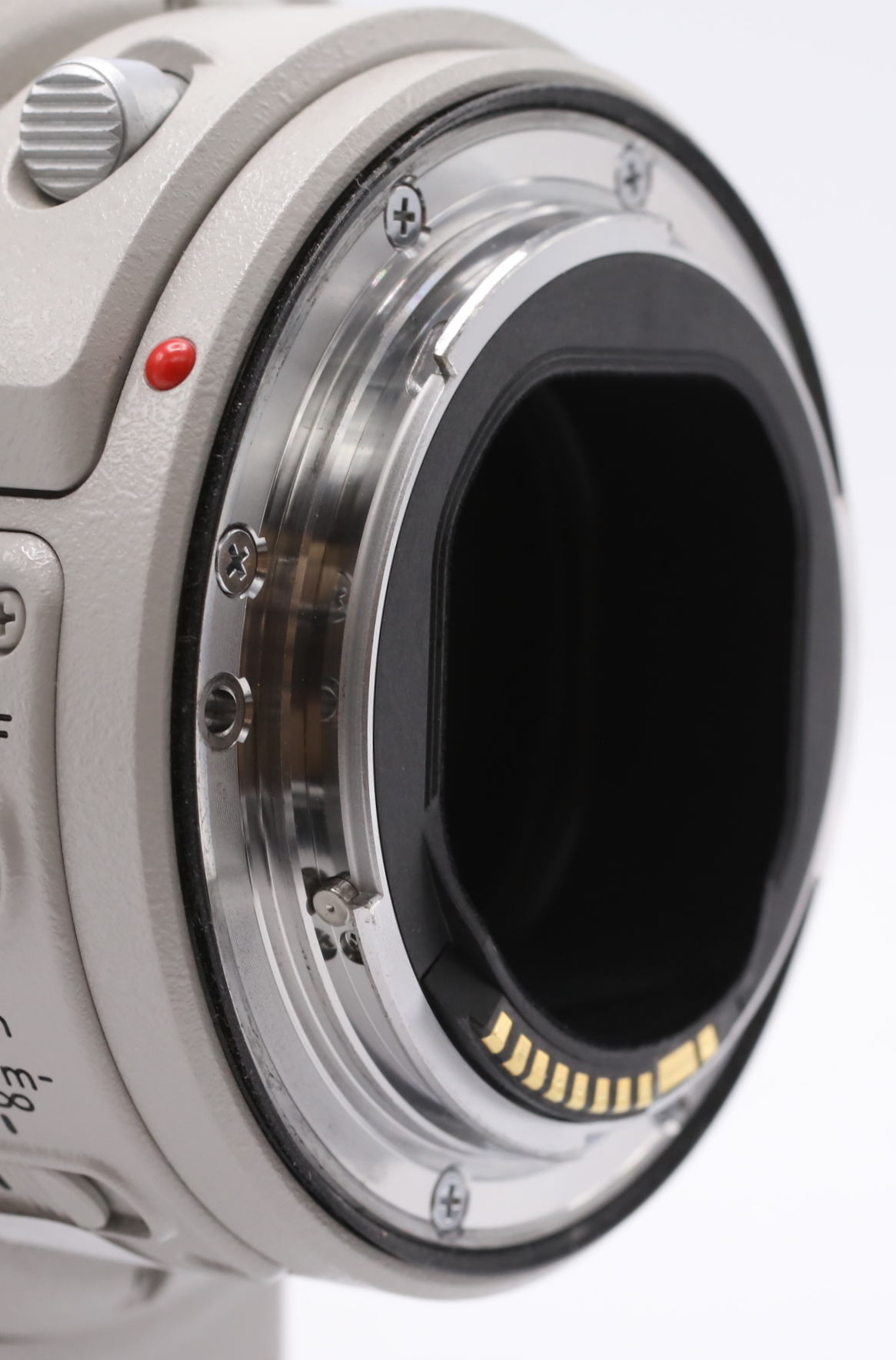 Canon EF 300mm F/2.8 L IS USM II + Zonnekap & Transportcase occasion