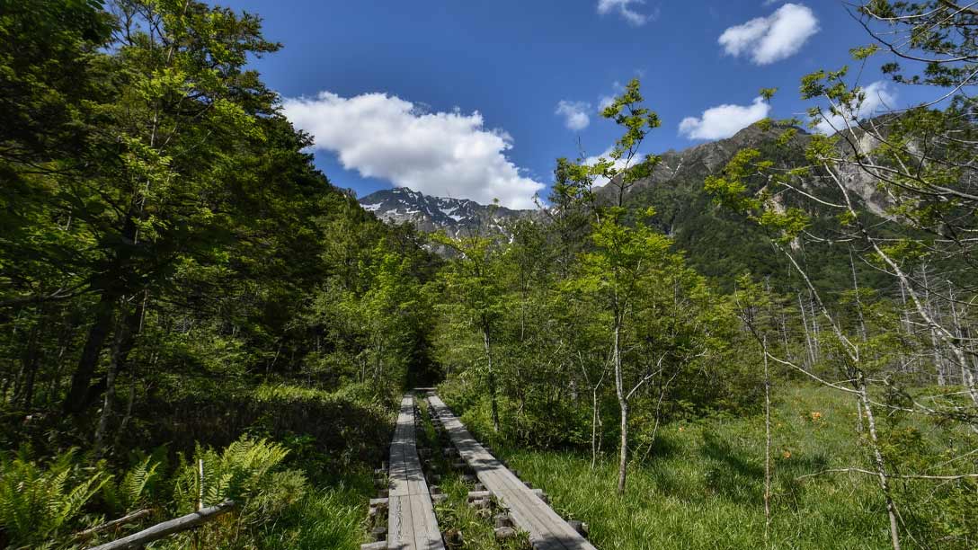 岳沢湿原 – 上高地公式ウェブサイト