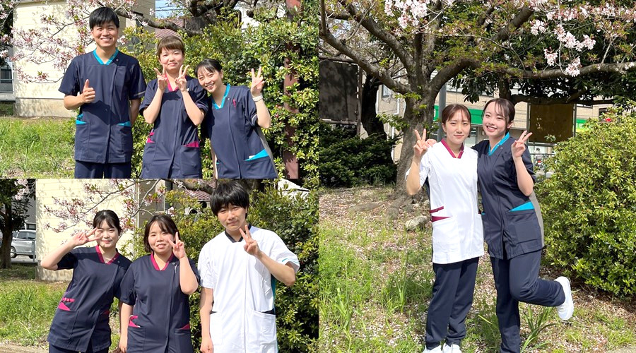 横須賀市立市民病院 (看護部) の見学会・説明会（新卒採用）｜看護師に