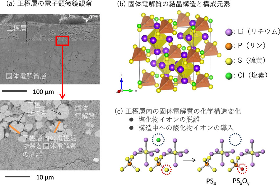 全固体電池の性能劣化 界面剥離と電解質変化が要因 産総研らが解明