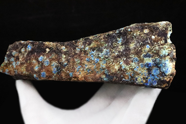 自然産状を色濃く残すビッグサイズ標本！メキシコ・チワワ州産