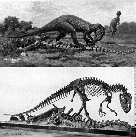 母岩に眠るアロサウルスの歯 恐竜 販売