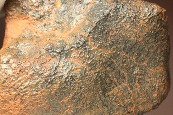 1960年10月オーストラリアに落下した隕石 ユークライト Polymict