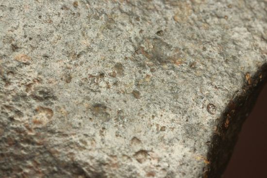 隕石コレクションを始める方におススメ！サハラ砂漠の隕石 コンド