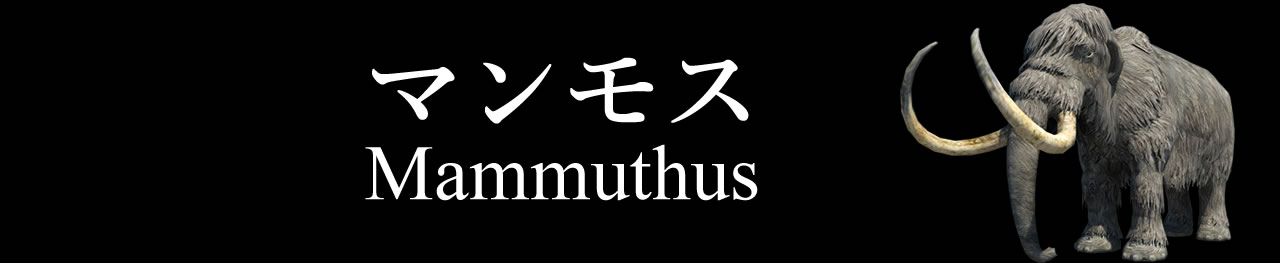 マンモス（販売中）の一覧です。