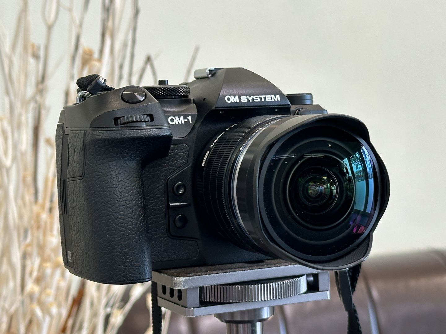 完成されたフラッグシップ OM SYSTEM OM-1 Mark II | ShaSha