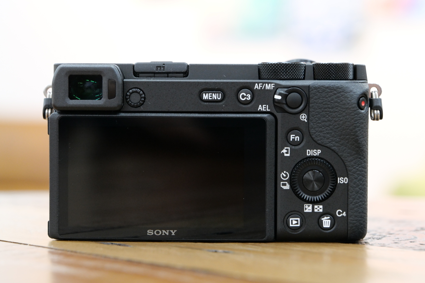 ソニー α6600 レビュー｜写真も動画もこの1台で！Eマウントの