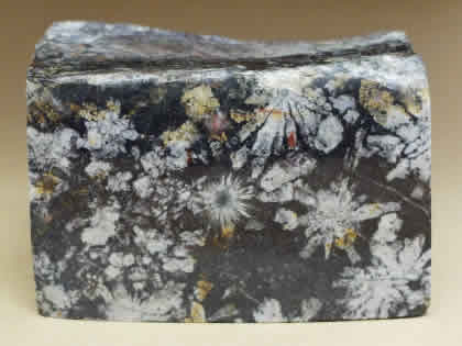 菊花石作品集 石の本と文鎮