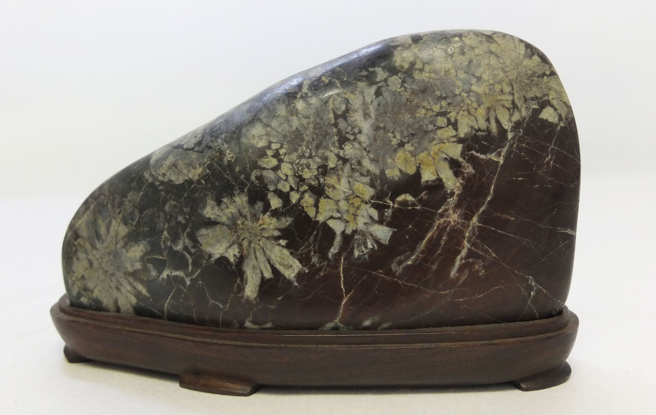 菊花石コレクション 石原コレクション 1