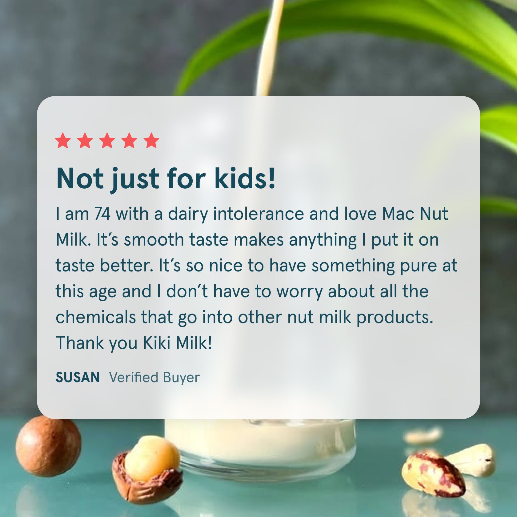 Macadamia Nut Milk with Cashew & Brazil Nuts | Kiki Milk