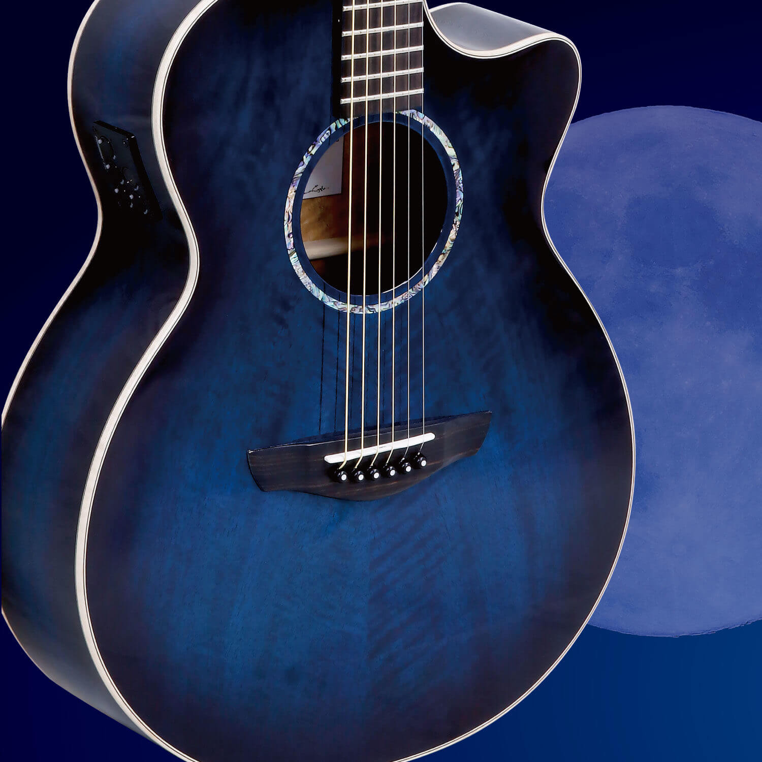 FVBLM -BLUEMOON VENUS- | キクタニミュージック