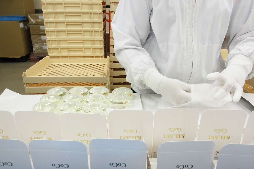 CoCo amino | 洗顔石鹸 | 高純度アミノ酸の力常在菌を守り、健康な肌へ