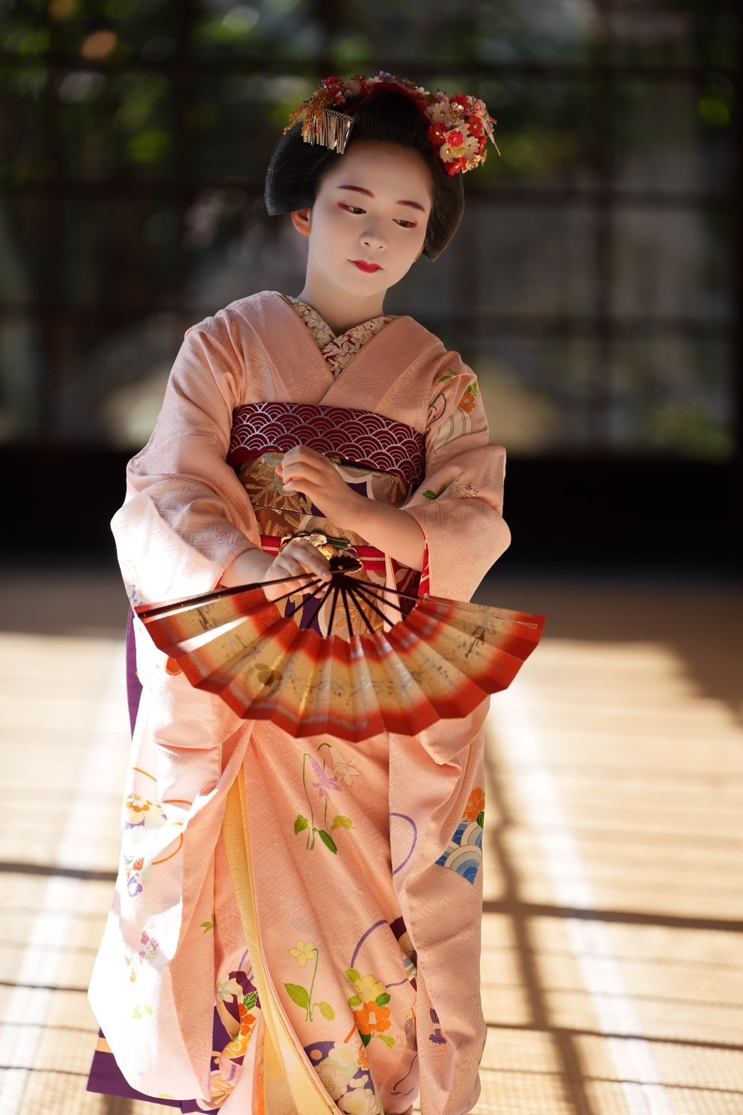 憧れを胸に埼玉から京都へ 宮川町・富美唯さん 「令和の芸舞妓図鑑