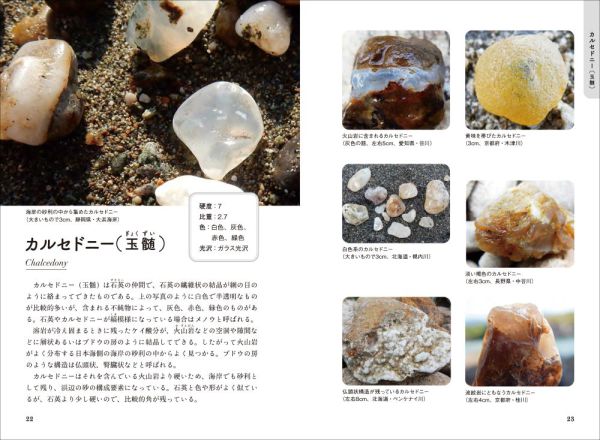 ひとりで探せる川原や海辺のきれいな石の図鑑 / 柴山 元彦【著