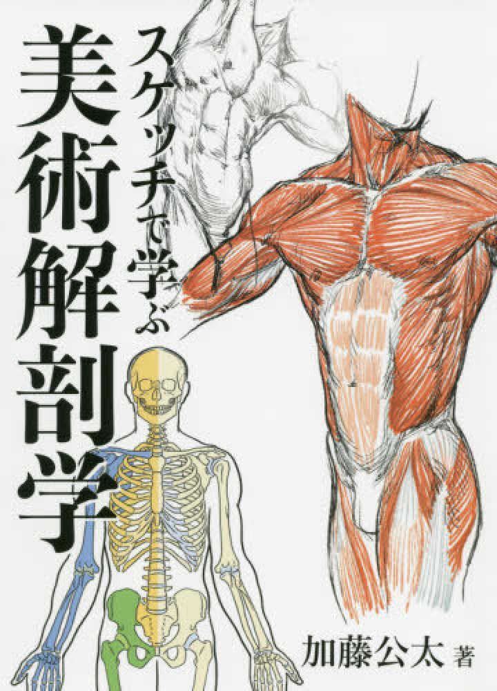 スケッチで学ぶ美術解剖学 / 加藤 公太【著】 - 紀伊國屋書店ウェブ
