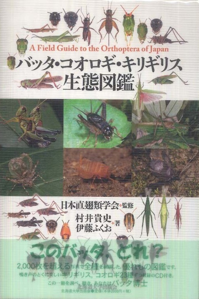 バッタ・コオロギ・キリギリス生態図鑑 / 日本直翅類学会【監修】/村井
