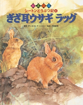 ぎざ耳ウサギ ラッグ (絵本図鑑シートンどうぶつ記) ：今泉忠明／小川