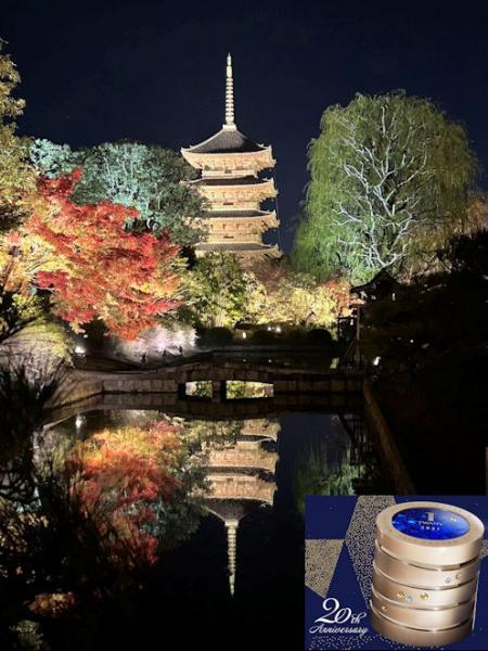 トワニー セルリズム 2026｜紹介記事｜キレイエ