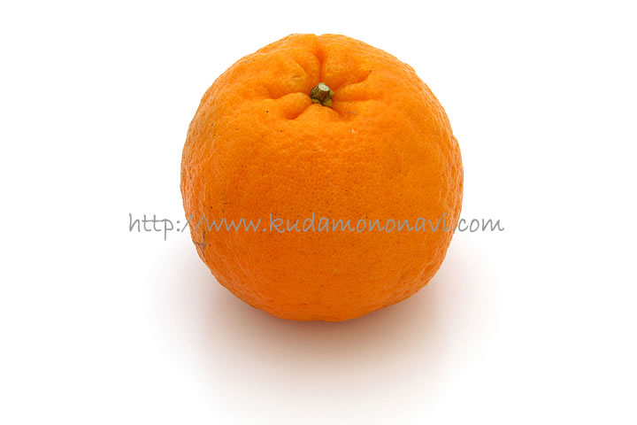 ポンカン ぽんかん ｜ カンキツ（その他柑橘類） 品種の特徴 食べ方 選び方