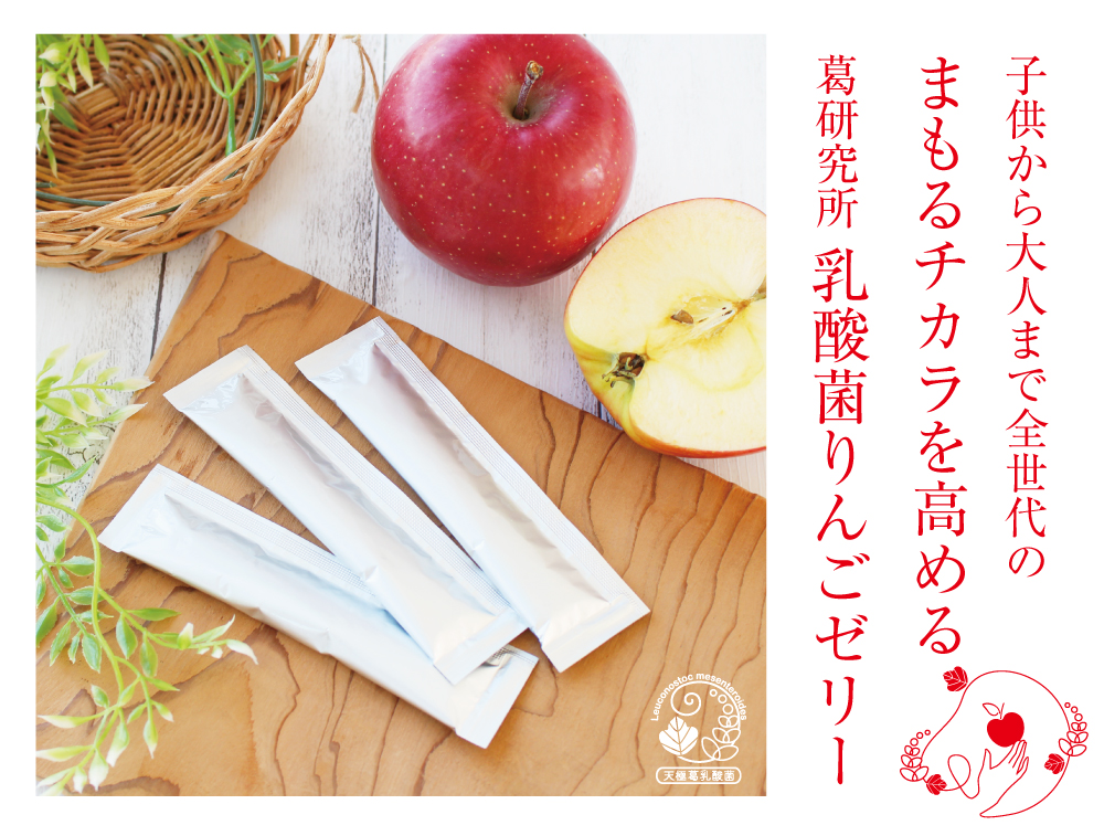 葛研究所 乳酸菌りんごゼリー《1週間お試しセット（7本入）》 | 吉野本